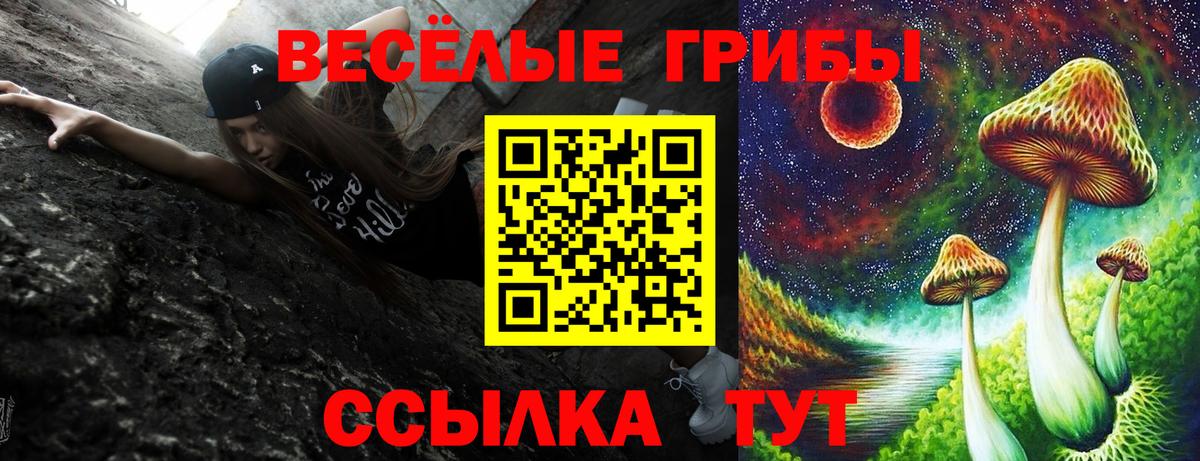 Псилоцибиновые грибы ЛСД Егорьевск